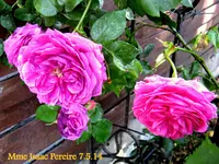 IMG_2609-001.webp