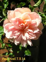 IMG_2612-001.webp