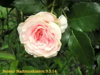 IMG_2633-001.webp