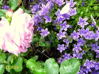 IMG_2769-001.webp