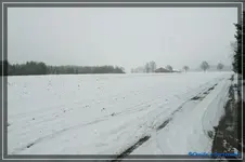 comp_DSC02652.webp