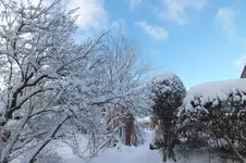 DSCF9935.webp
