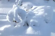 DSCF9940.webp