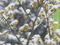 020.webp