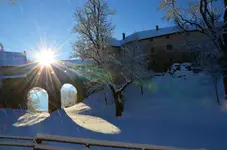 schnee2.webp