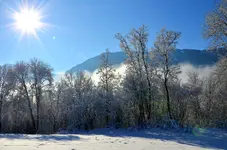 schnee3.webp