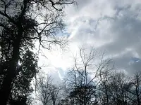 Bild 7173.webp