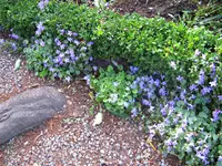 IMG_1362-001.webp