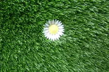 P1050201.webp