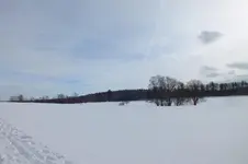 DSCF9990.webp