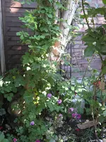 IMG_2800-001.webp