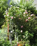 IMG_2830.webp
