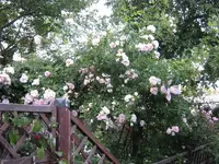 IMG_2867.webp