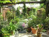 IMG_2441-005.webp