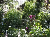 IMG_2947.webp
