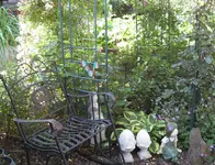 IMG_2954.webp