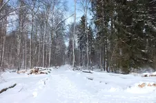 DSCF9959.webp