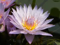 DSCN8318.webp