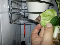 20150201_103158.webp
