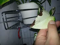 20150201_103233.jpg