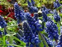 IMG_2318-002.webp