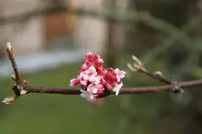 IMG_5764.webp