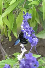 IMG_1846-001.webp