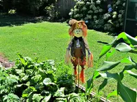 IMG_6817v.webp