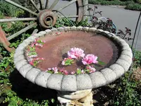 IMG_0621v.webp