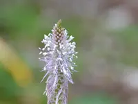 Weiß_0010.webp