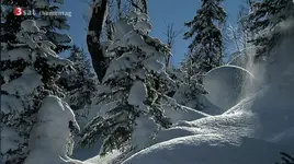 mehr geht nimmer 2015-02-01.webp