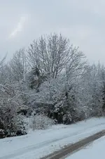 winter_feb_2015.webp