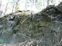 86.webp