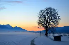 dkd4.webp