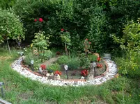 alte Rosenecke.webp