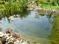 teich.webp
