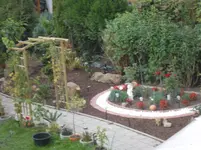 rosenbeet1.webp