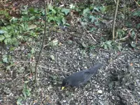 BILD3720.webp