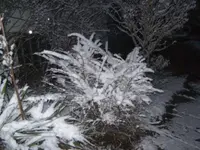 BILD3728.webp