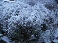BILD3737.webp