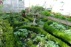 DSCF2576.webp