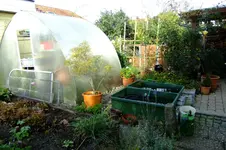 DSCF2577.webp