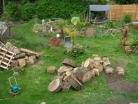 holz.webp