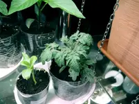 DSCN3790.2.webp