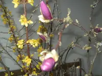 BILD3719.webp
