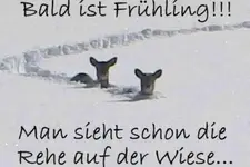 Frühling.webp