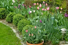 DSCF1625.webp