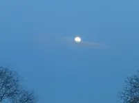 P1270461.webp