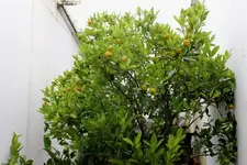 IMG_3655 - Kopie.webp