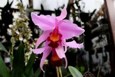 IMG_3633 - Kopie.webp